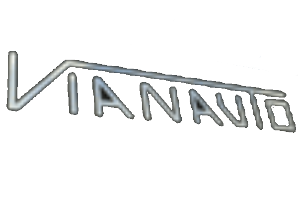 Logo Vianauto sans fond